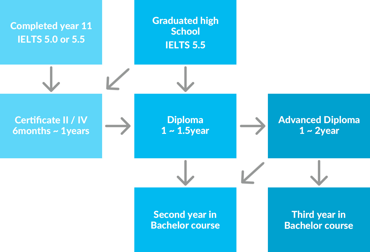 Certificate and Diploma Program